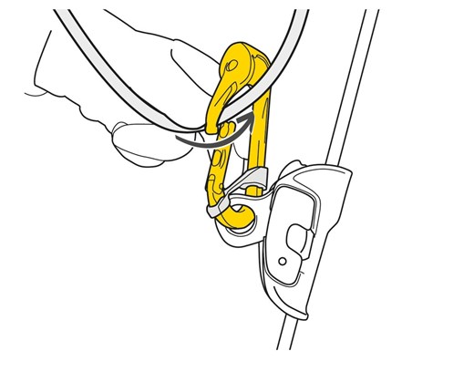 P74-ROLLCLIP-A-focus-2_LowRes